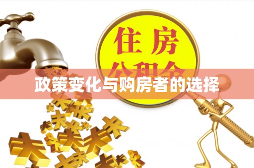 镜铁政策变化与购房者的选择