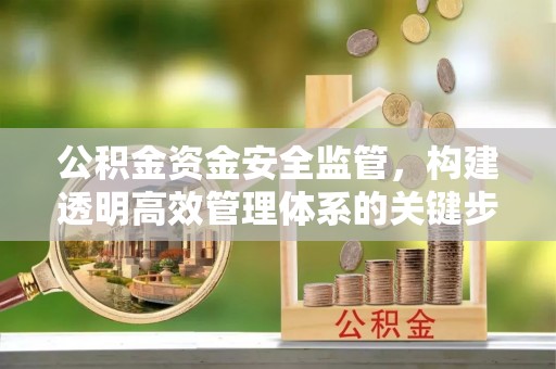 镜铁公积金资金安全监管，构建透明高效管理体系的关键步骤