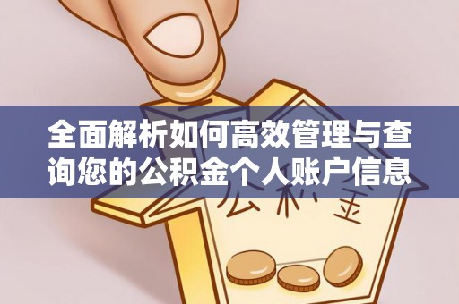 镜铁全面解析如何高效管理与查询您的公积金个人账户信息