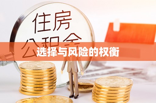 镜铁选择与风险的权衡