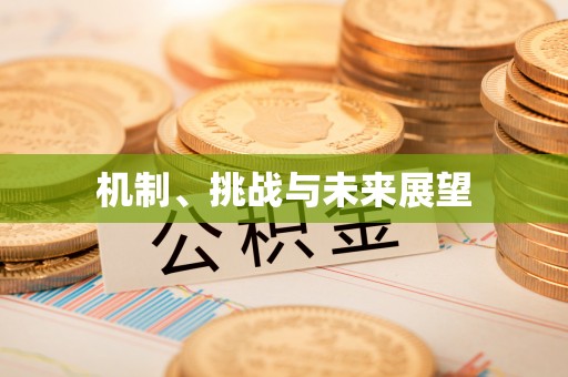 镜铁机制、挑战与未来展望
