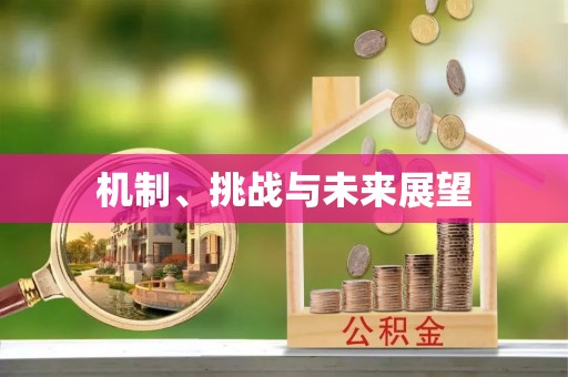 镜铁机制、挑战与未来展望